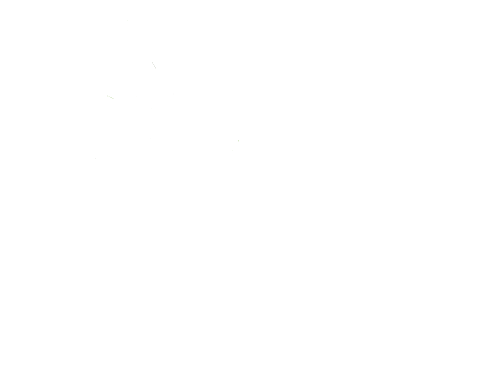 logo light calumet